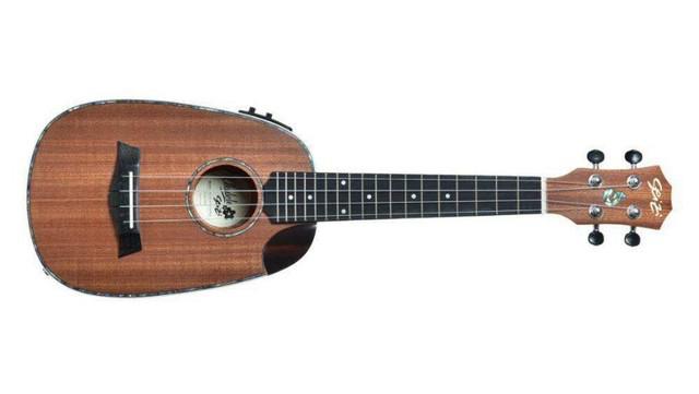 Ukulele Seizi Crush Pineapple Concert Eletri Sapele 10360297