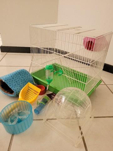 Gaiola para Hamster ?