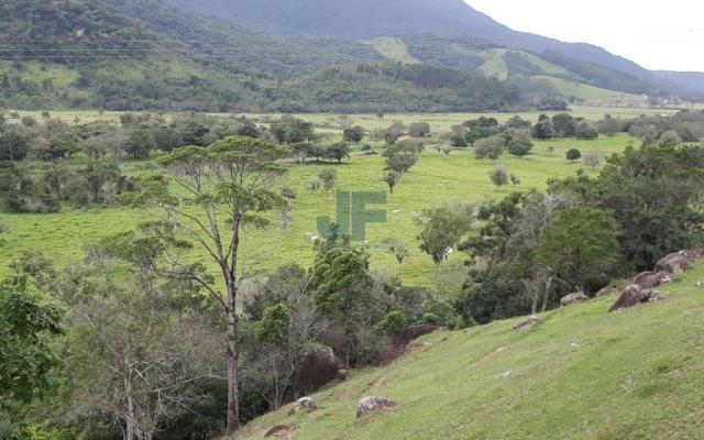 Fazenda para venda no bairro penha em paulo lopes, 530000000