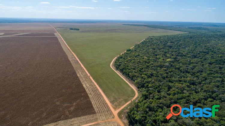 FAZENDA À VENDA - CAMPO NOVO DO PARECIS - MT 2