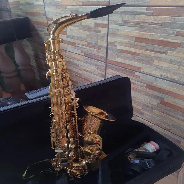 Saxofone alto winner mib laqueado dourado c/ estojo - usado