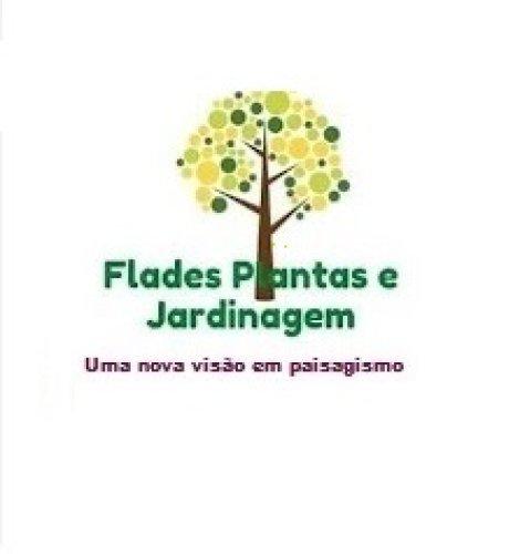 jardinagem, podas, limpeza, projetos