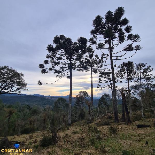 Terreno comercial venda no Zona Rural - Urubici, SC.