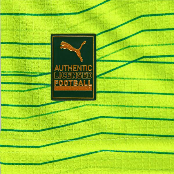 Camisa palmeiras iii 23/24 puma jogador masculina - verde