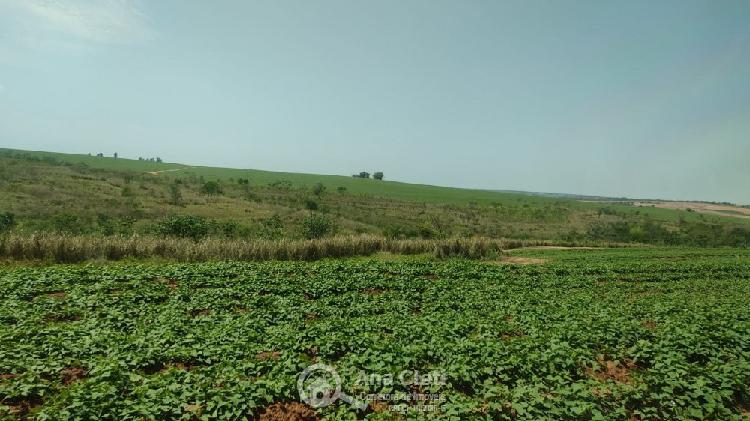 Fazenda/stio/chcara/haras venda no Rural - Ribas do Rio