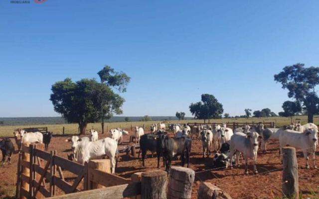 Fazenda a Venda no bairro Centro em Nova Andradina - MS.