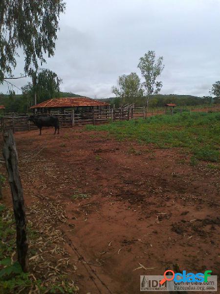 Fazenda bruta com 241 ha em Várzea da Palma - MG 2