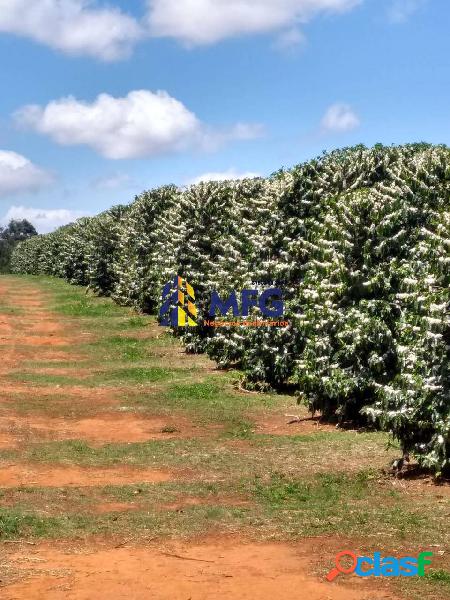 FAZENDA DE CAFÉ / CEREAIS - FRANCA SP