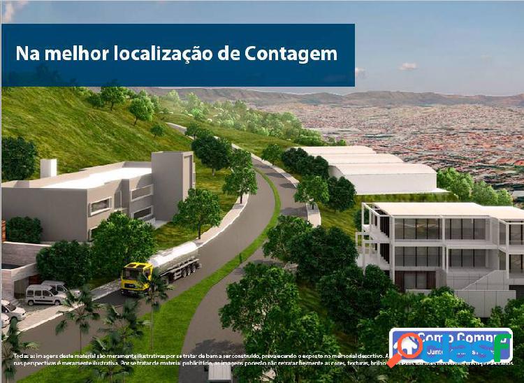 Lançamento de lotes em contagem 1