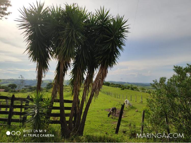 Chacara a venda em Mandaguari