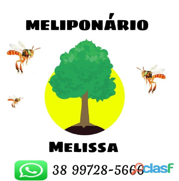 Meliponário melissa