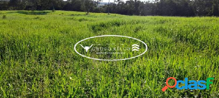 FAZENDA NOSSA SENHORA DA GUIA TORIXORÉU - MT ! 1.140 hectares! 1