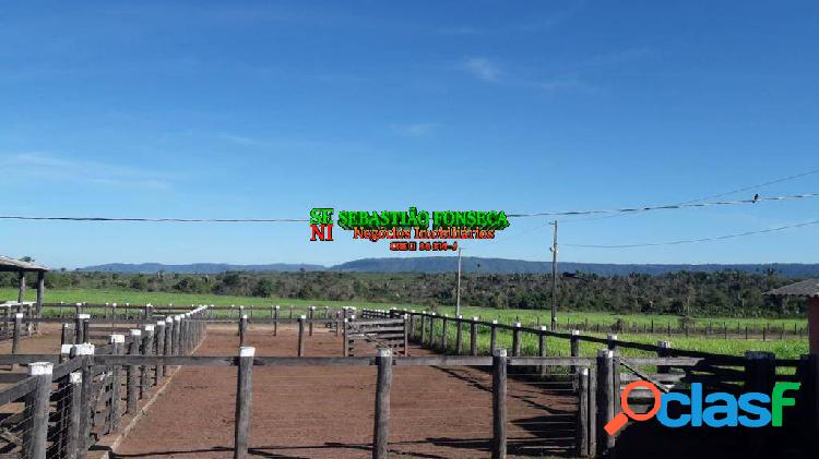 Fazenda na Região de Xinguara Pará 1