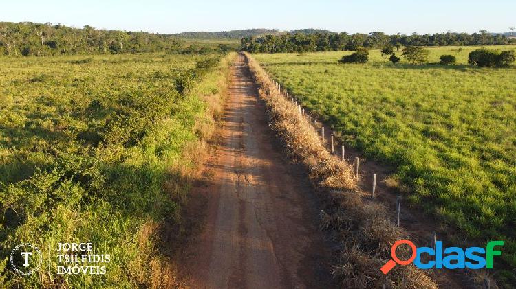 FAZENDA A VENDA EM MATUPÁ - MT 2