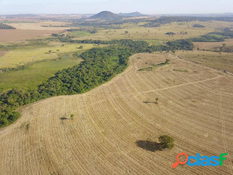 Fazenda Extra !! 51 Alqueires em Palmeiras de Goiás ! OFERTA DE MERCADO !