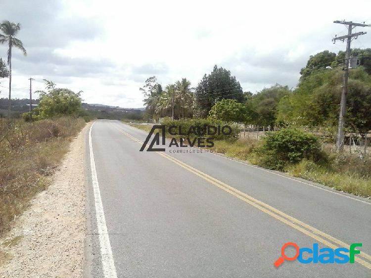 TERRENO COM 10.000 M2 NAS MARGENS BA-503 1