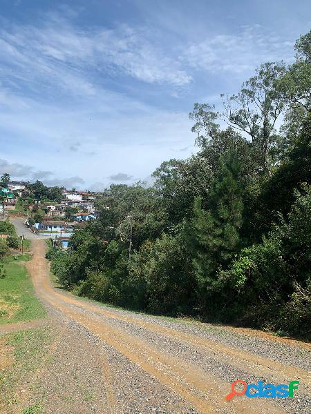 Area a venda em Rio Negrinho SC 1