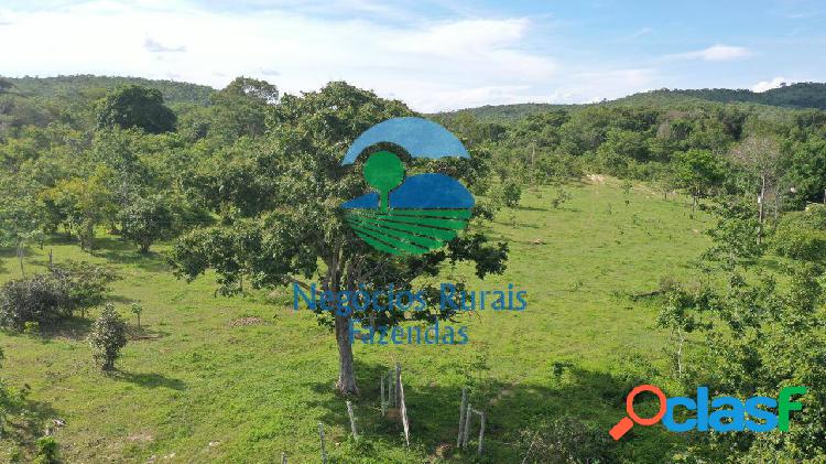 Fazenda 968 Hectares/ 200 Alqueires. 3