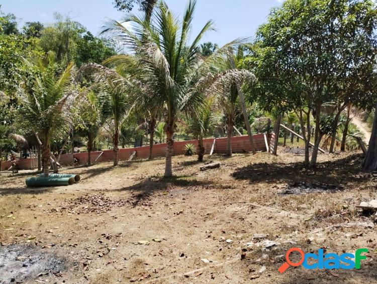 Paraíso Natural à Venda: Terreno com igarapé no Rio Preto da Eva! 5