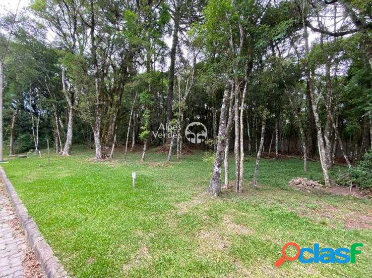 Terreno em Condomínio, 479,35m², à venda em Canela, Centro 5