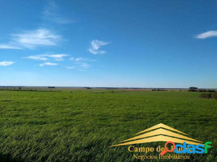 Fazenda jaguarão rs 1.273 hectares