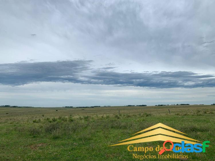 Fazenda quaraí rs 2.600 hectares