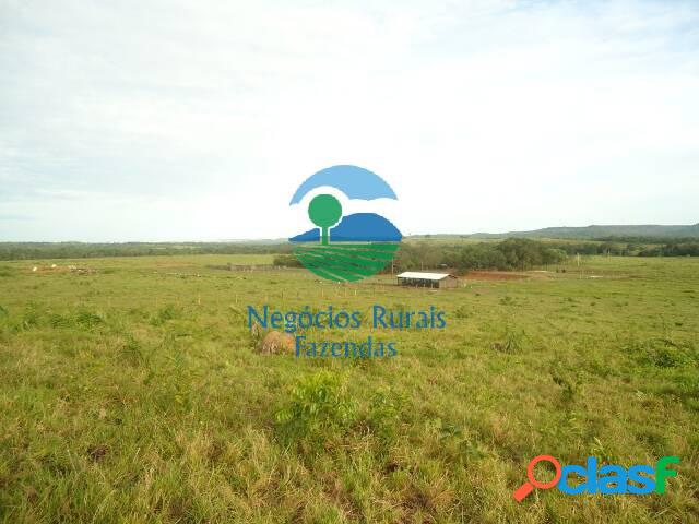Arrendamento no Tocantins Agrícola 900 Hectares ou185 Alqueires. 5