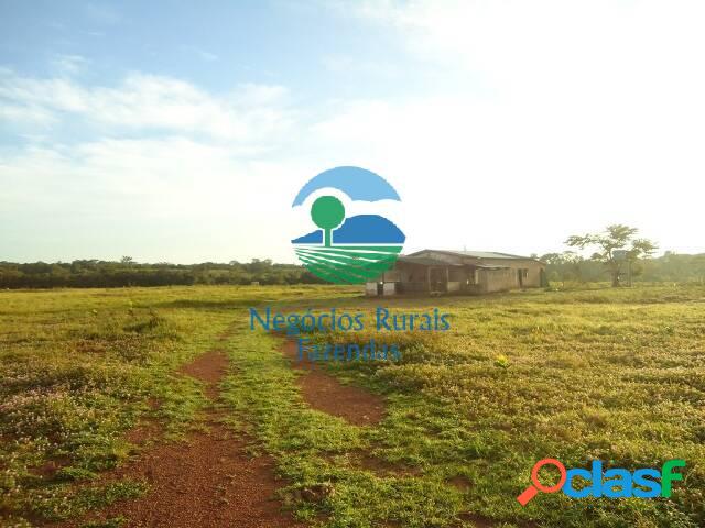 Arrendamento no Tocantins Agrícola 900 Hectares ou185 Alqueires. 6