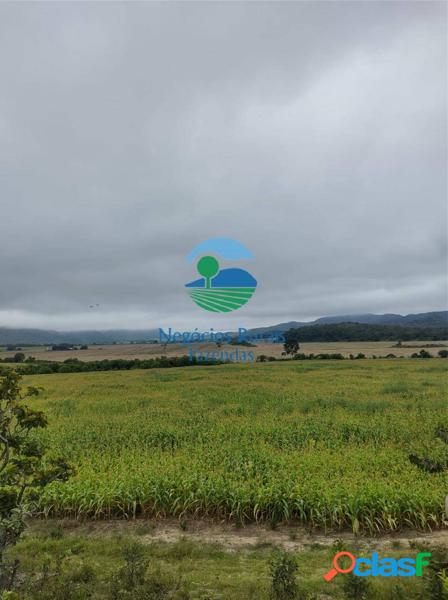 Fazenda 1.185 Hectares/ 245 Alqueires. 5