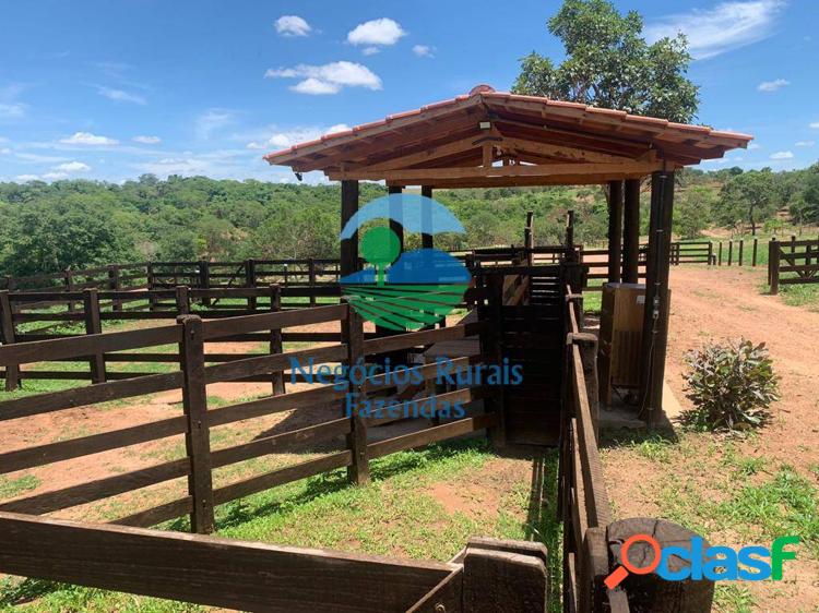Fazenda 125 Hectares/ 26 Alqueires. 5