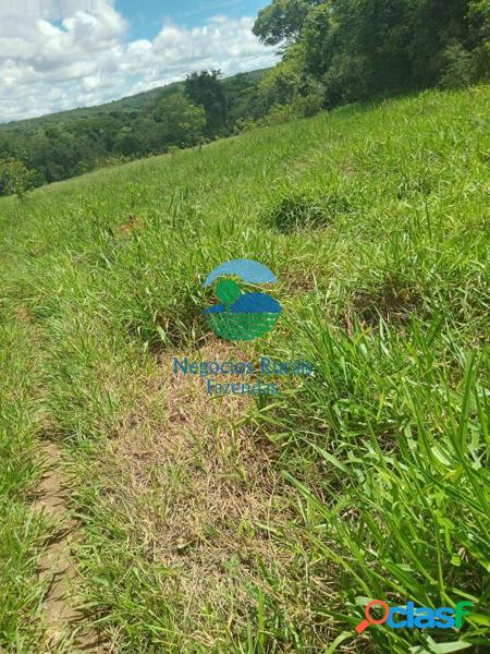 Fazenda 145 hectares/ 30 alqueires.