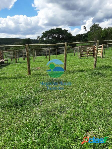 Fazenda 154 hectares/ 32 alqueires.