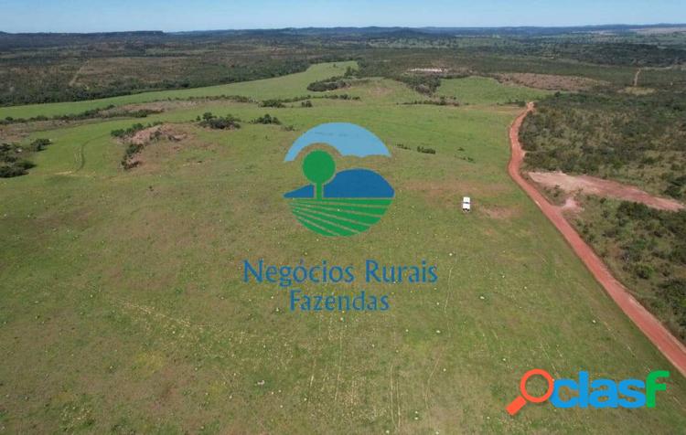 Fazenda 2.081 Hectares/ 430 Alqueires. Fazenda 2.081 Hectares/ 430 Alqueires.
