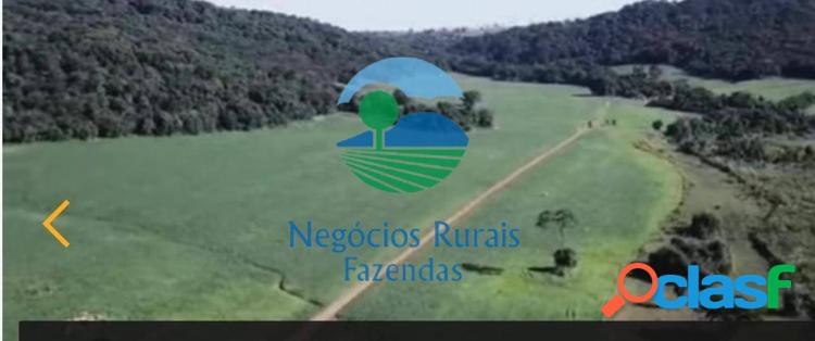 Fazenda 295 Hectares/ 61 Alqueires. 4