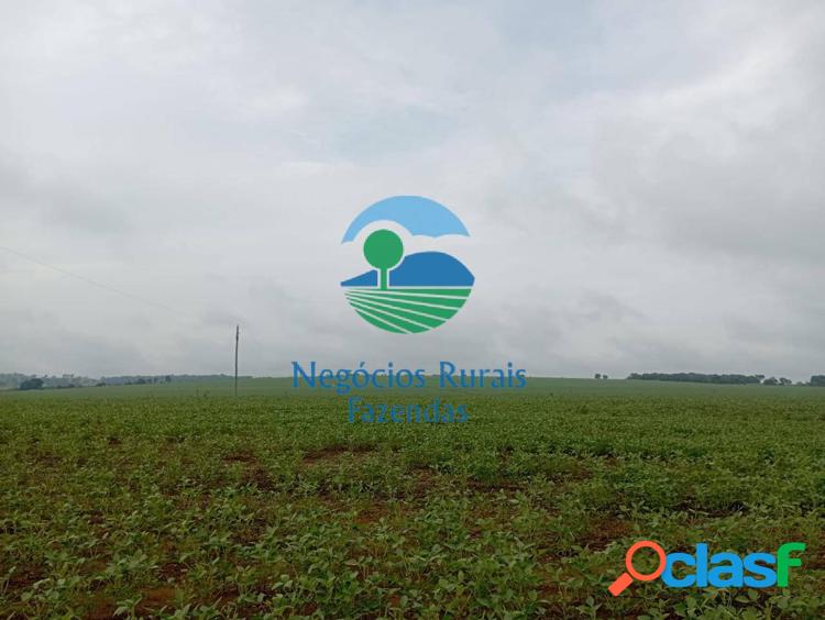 Fazenda 300 hectares/ 62 alqueires.