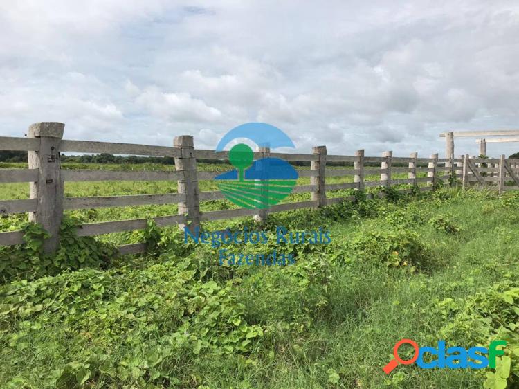 Fazenda 3.418 Hectares/ 706 Alqueires.
