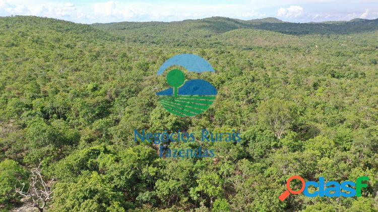 Fazenda 968 Hectares/ 200 Alqueires.