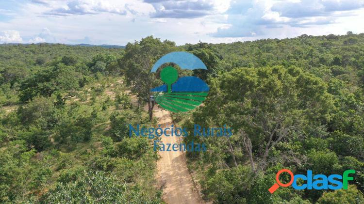 Fazenda 968 Hectares/ 200 Alqueires. 4