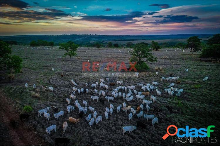 Fazenda à venda em figueirão, ms - 4.535 hectares - oportunidade de investimento em pecuária de corte