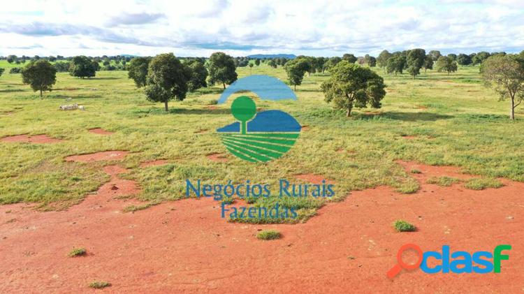 Fazenda a venda em Goiás 1.180 Hectares ou 244 Alq Vale do Araguaia Goiás 6