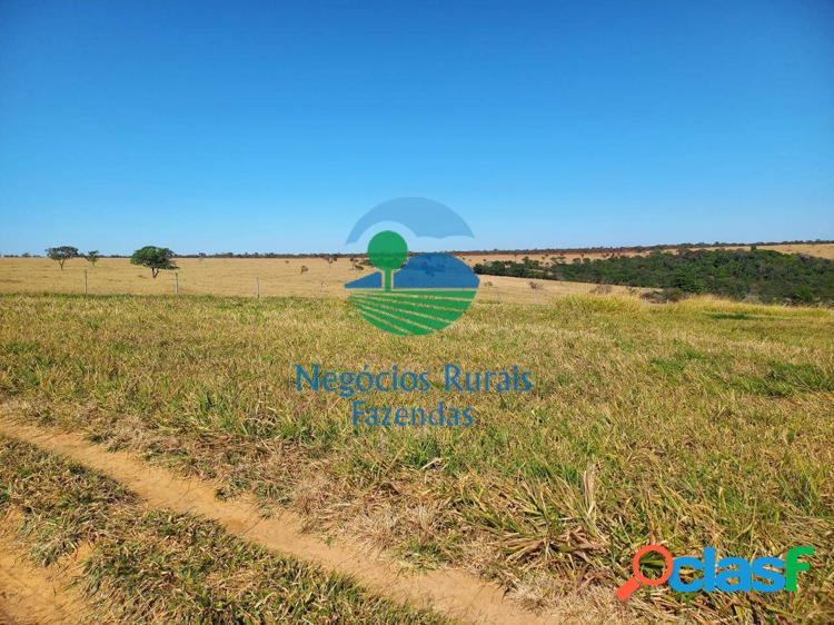 Fazenda a venda em Goiás 208 Hectares ou 43 Alqueires.