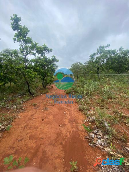 Fazenda a venda em Goiás 290 Hectares ou 60 Alqueires Formosa - GO. 2