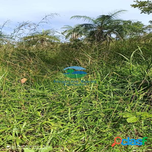 Fazenda a venda em Goiás 343 Hectares ou 71 alqueires Niquelândia - GO. 5