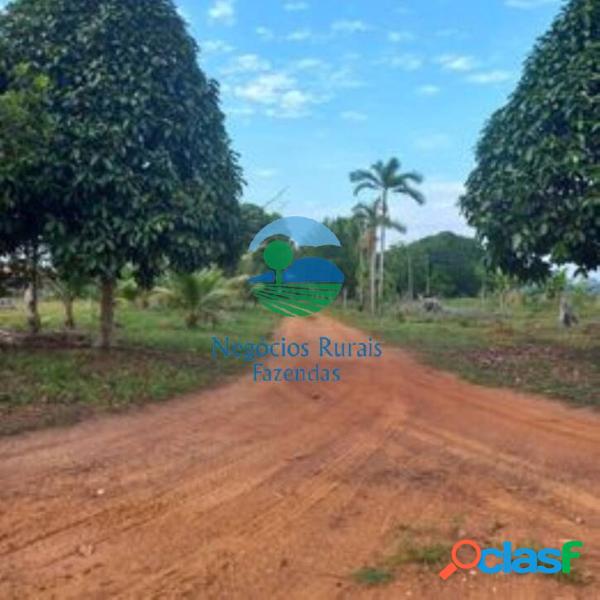 Fazenda a venda em Rondônia 58 hectares ou 23 Alqueires Rondônia - RO.