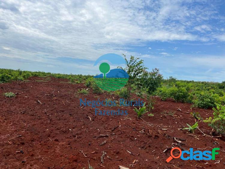 Fazenda a venda no Tocantins 1.026 Hectares ou 212 Alqueires. 6