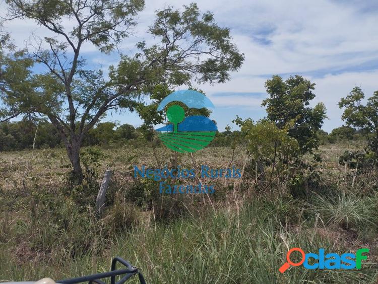 Fazenda a venda no Tocantins 1.282 Hectares ou 265 Alqueires. 4