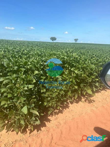 Fazenda a venda no Tocantins 2.000 Hectares ou 413 Alqueires. 6
