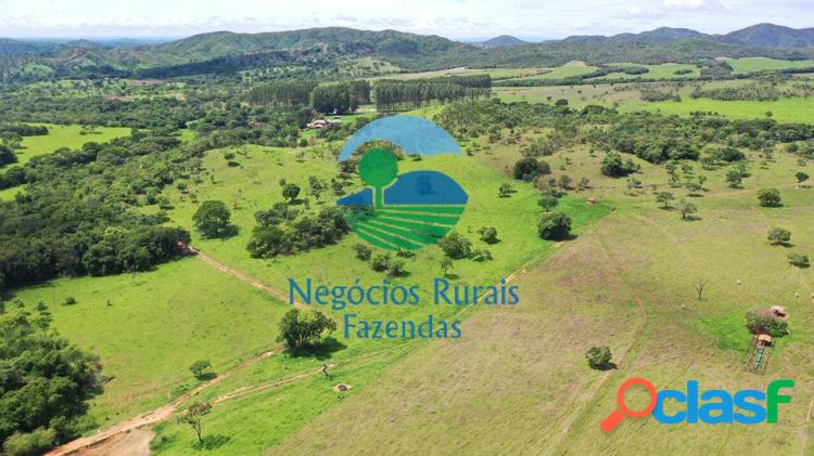 Fazenda extra 800 hectares 6