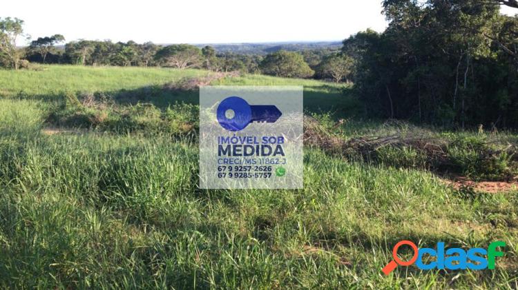 Fazenda 250 hectares Camapuã 6