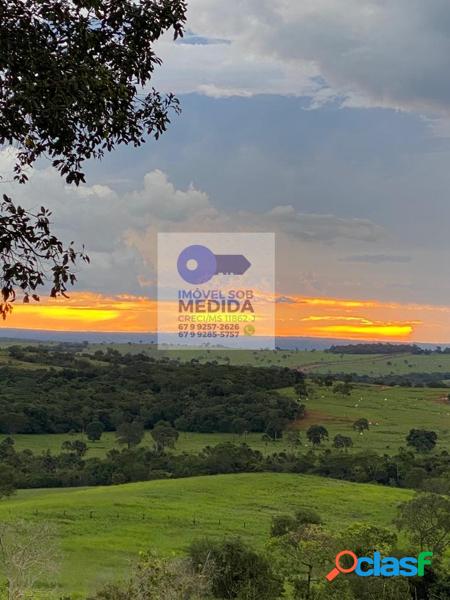 Fazenda 250 hectares camapuã